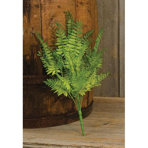 Wood Fern Bush 14