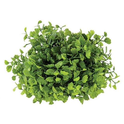 Maidenhair Fern Half Sphere 6-1/2