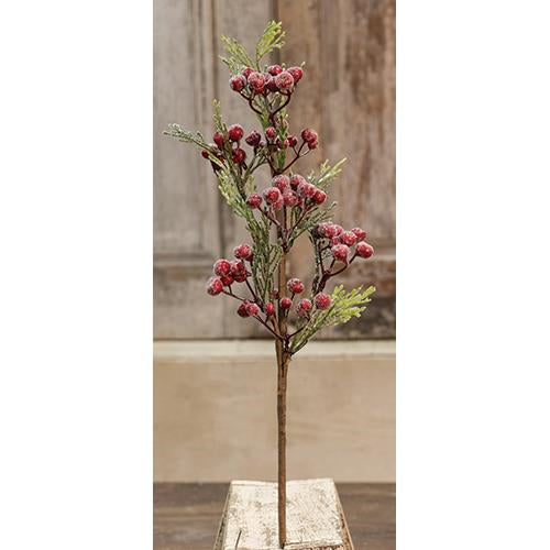 Icy Berry & Cedar Pick 18