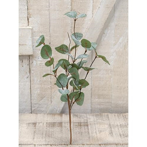 Crisp Air Eucalyptus Pick 14
