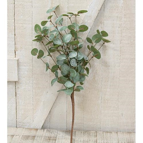 Crisp Air Eucalyptus Bush 18