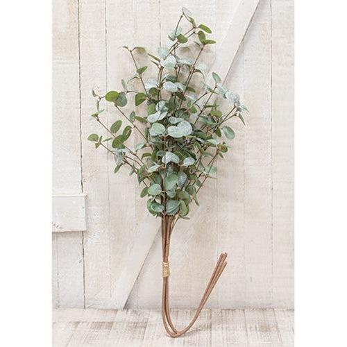 Crisp Air Eucalyptus Bundle 35