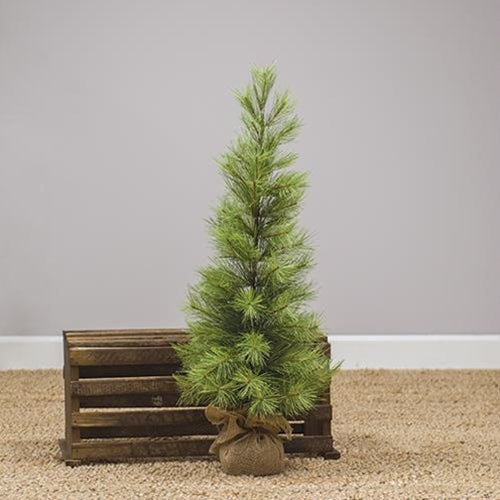 Slim Long Needle Pine Tree 3 Ft
