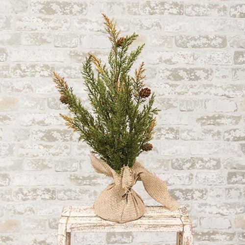 Prickly Pine Tree Moss Green 18