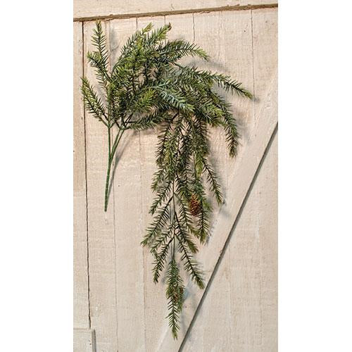 Sargent Spruce Hanging Bush (Pack of 2)