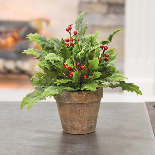 '+Potted Dazzling Holly (Pack of 2)