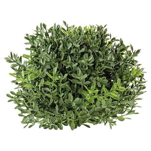 New England Boxwood Half Sphere 7