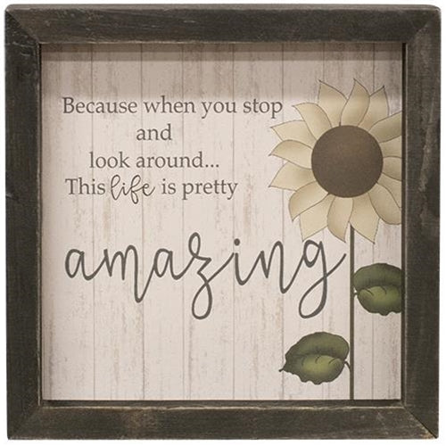Life Is Amazing Framed Sign  (Pack of 4)
