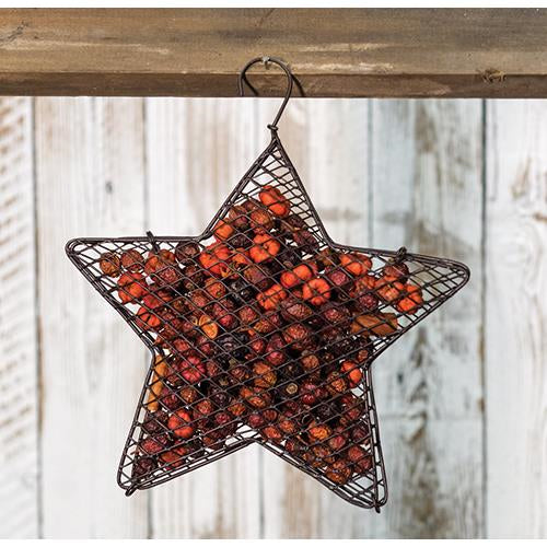 Wire Mesh Star w/Pumpkin Spice Potpourri 9