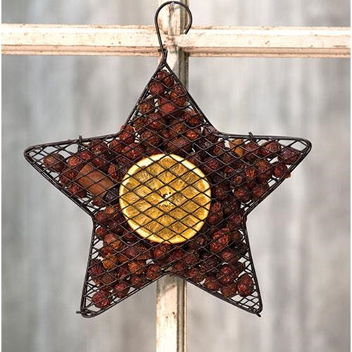 Wire Mesh Star w/ Orange Potpourri 9
