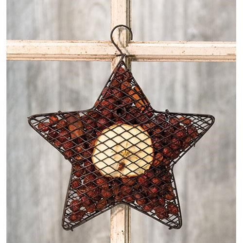 Wire Mesh Star w/ Apple Potpourri 9
