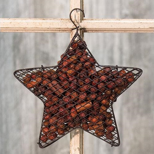 Wire Mesh Star w/Cinnamon Potpourri 9