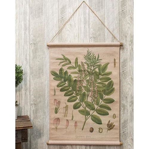Glycyrrhiza Botanical Canvas