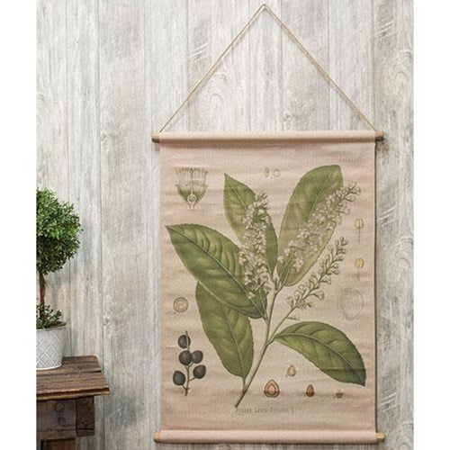 Prunus Lauro Botanical Canvas