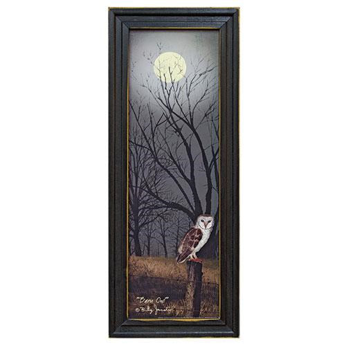 Barn Owl Framed Print