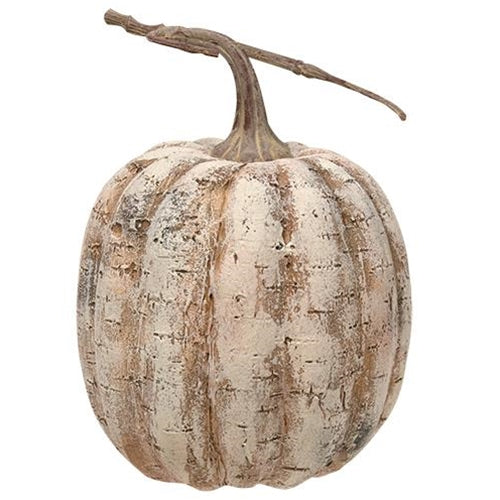 White Birch Pumpkin 8