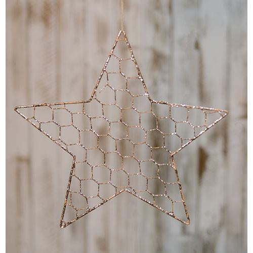 Wire Star Ornament 10