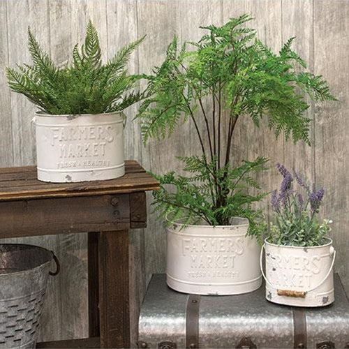 3/Set White Farmer's Market Buckets