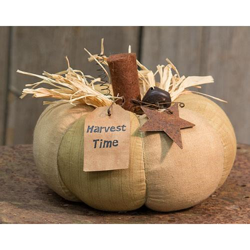 Harvest Time Pumpkin