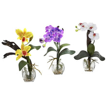 Load image into Gallery viewer, Mixed Orchid w/Cube Arrangements (Set of 3)
