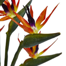 Load image into Gallery viewer, Birds of Paradise in Vase
