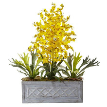 Load image into Gallery viewer, Dancing Lady and Staghorn in Stone Planter
