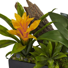Load image into Gallery viewer, Dendrobium and Bromeliad Arrangement
