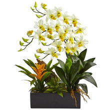Load image into Gallery viewer, Dendrobium and Bromeliad Arrangement
