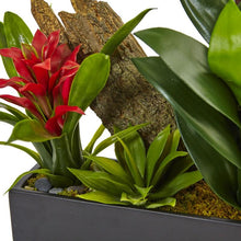 Load image into Gallery viewer, Dendrobium and Bromeliad Arrangement
