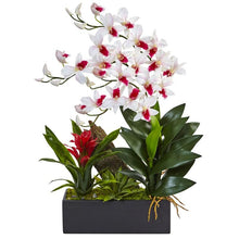 Load image into Gallery viewer, Dendrobium and Bromeliad Arrangement

