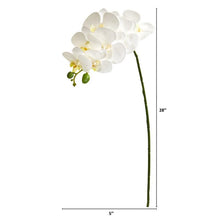 Load image into Gallery viewer, 28&quot; Orchid Phalaenopsis Artificial Flower Stem (Set of 6)
