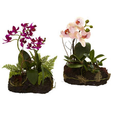 Load image into Gallery viewer, Orchid Island (Set of 2)
