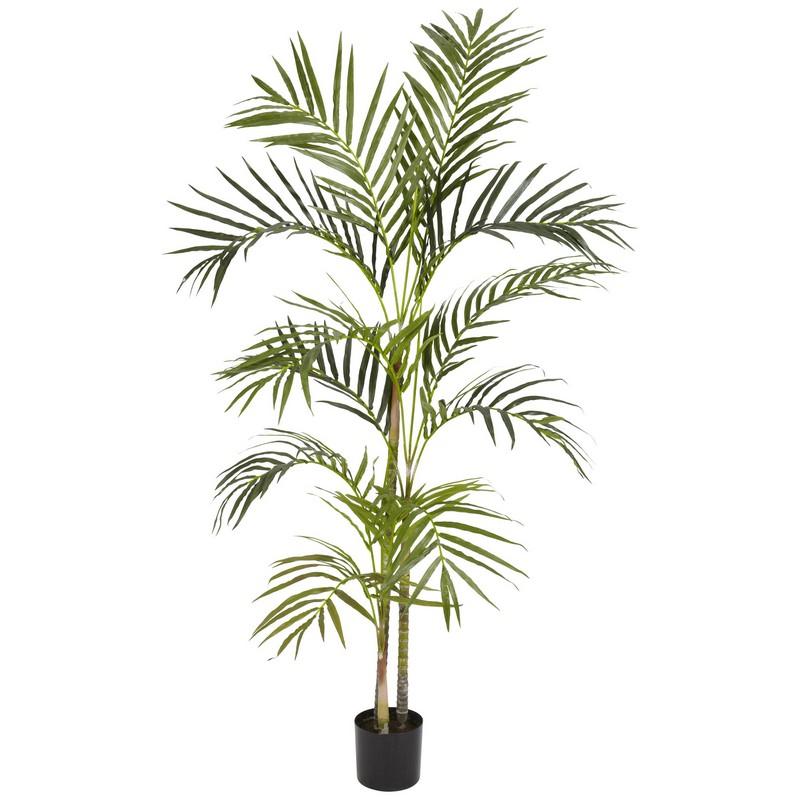 4' Areca Palm Silk Tree