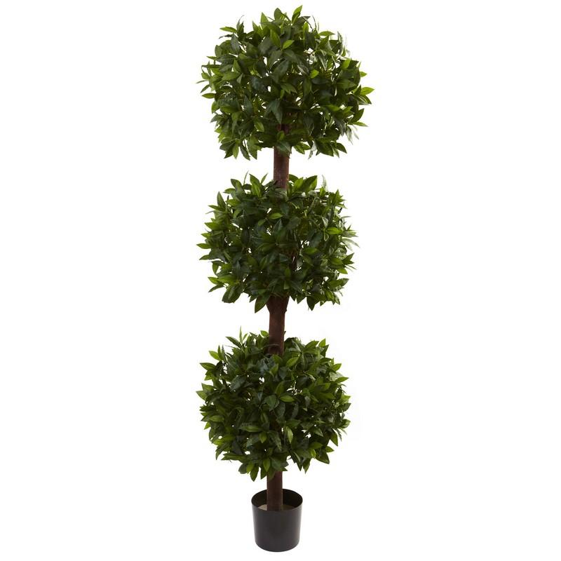 6.5'Sweet Bay Triple Ball Topiary