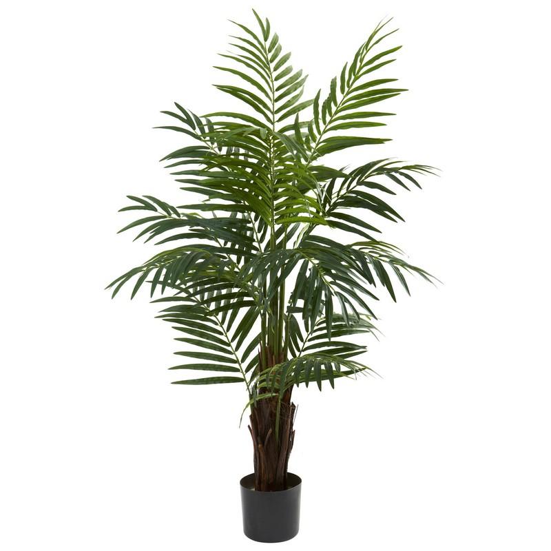 4'Areca Palm Tree