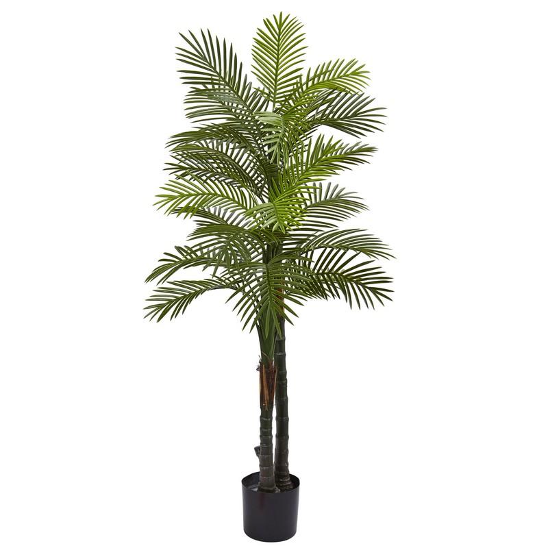 5.5'Double Robellini Palm Tree UV Resistant (Indoor/Outdoor)