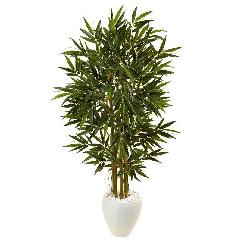 5.5'Bamboo Tree in White Oval Planter