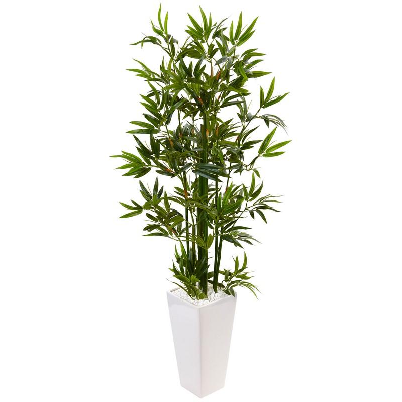 4.5'Bamboo Tree in White Tower Planter