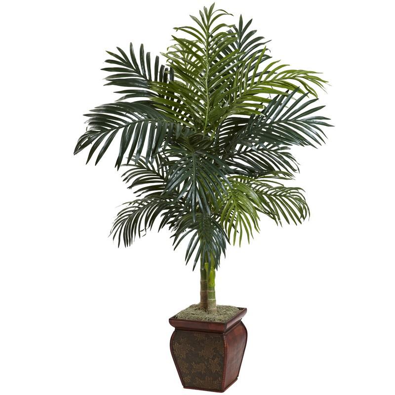 4.5'Golden Cane Palm w/Decorative Container