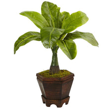Load image into Gallery viewer, Assorted Mini Palm Trees in Planter (Set of 3)
