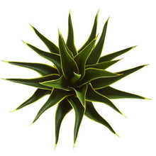 Load image into Gallery viewer, 23&quot; Agave Artificial Plant
