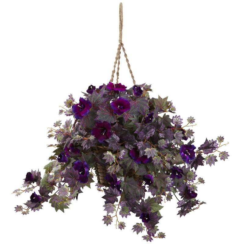 Morning Glory Hanging Basket