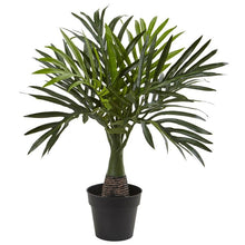 Load image into Gallery viewer, Areca, Fountain &amp; Banana Palm (Set of 3)
