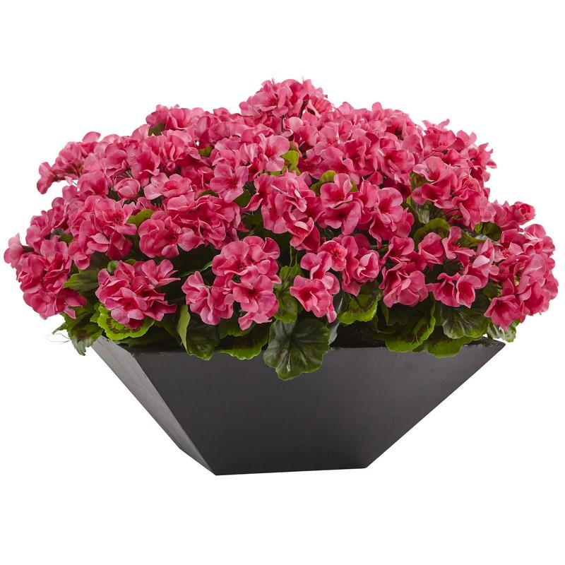 Geranium with Black Planter UV Resistant (Indoor/Outdoor)