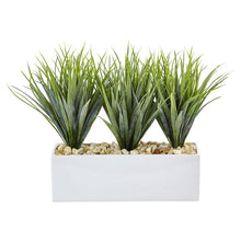 Load image into Gallery viewer, Vanilla Grass in Rectangular Planter
