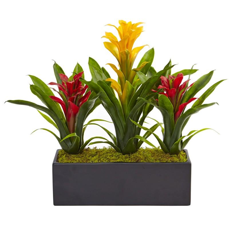 Bromeliads in Rectangular Planter