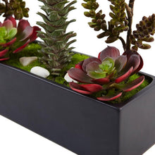 Load image into Gallery viewer, Succulent Garden in Rectangular Planter

