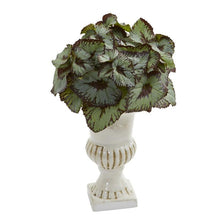 Load image into Gallery viewer, Rex Begonia Artificial Plant in White Urn (Set of 2)
