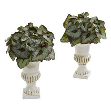 Load image into Gallery viewer, Rex Begonia Artificial Plant in White Urn (Set of 2)
