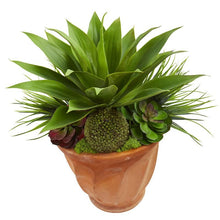 Load image into Gallery viewer, Succulent Garden Artificial Plant in Terra Cotta Planter
